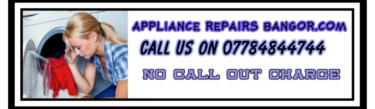 Appliance Repairs Bangor